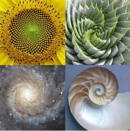 how fibonacci analysis can improve forex trading