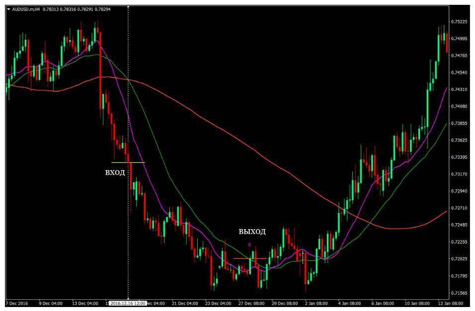 forex trading advice