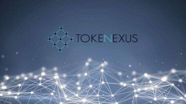 tokenexus review: is it a deception?